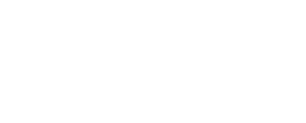 Evys Property Logo